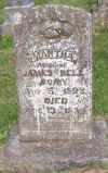 1504.jpg (112627 bytes)