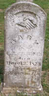 1506.jpg (93158 bytes)