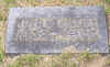 1516.jpg (44016 bytes)
