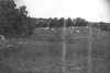deercreekpic.jpg (83441 bytes)