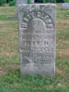 picture_010.jpg (85463 bytes)