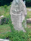 picture_037.jpg (83627 bytes)