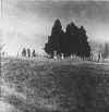 lomgbranchbaptcem.jpg (79322 bytes)