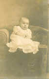loyette_greening_hamilton.jpg (768989 bytes)