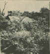 primitive_baptist_stoutsville.jpg (13260 bytes)