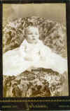 unk10mbk.jpg (126828 bytes)